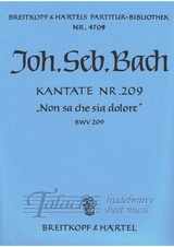 Cantata BWV 209 Non sa che sia dolore, VP