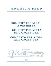 Koncert pro violu a orchestr