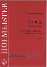 Sonata in e minor 