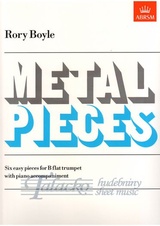 Metal Pieces