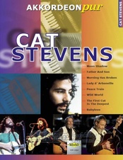 Cat Stevens (Akordeon)