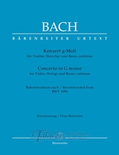 Concerto for Violin, Strings and Basso Continuo G minor