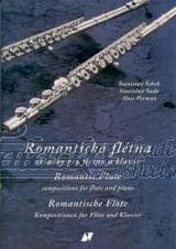 Romantická flétna