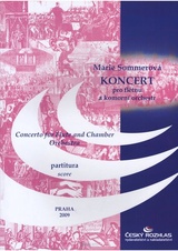 Koncert pro flétnu a komorní orchestr