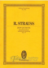 Don Quixote op. 35