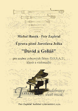 David a Goliáš