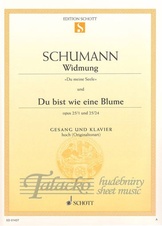 Widmung (Du meine Seele), Du bist wie op. 25/1, 24