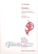 Concerto pour cor et orchestre